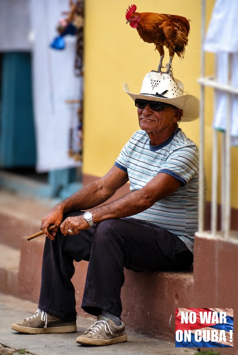 Laurent Quevilly 🇩🇰 𝍎𝌆 🇨🇺 tweet media