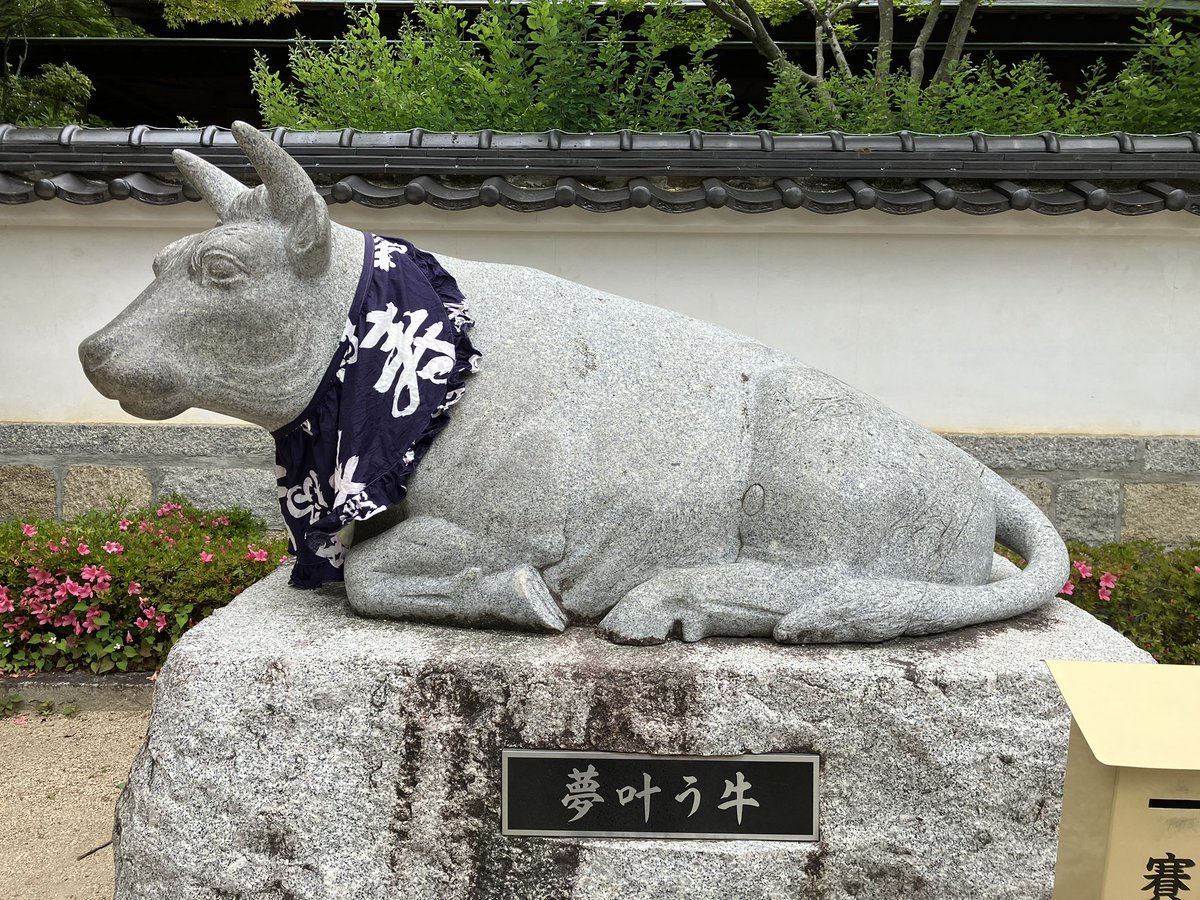 刑部しきみ tweet media