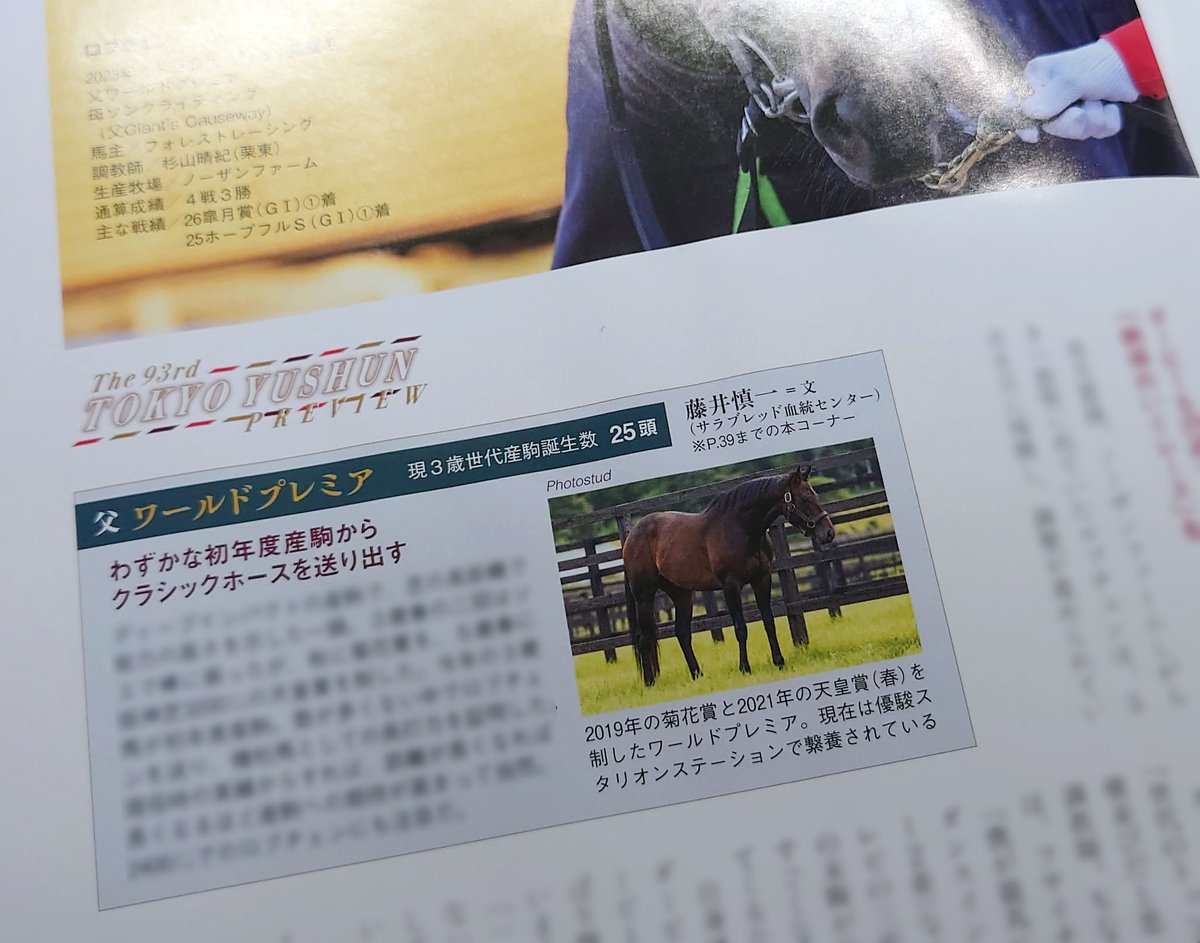藤井 慎一 tweet media
