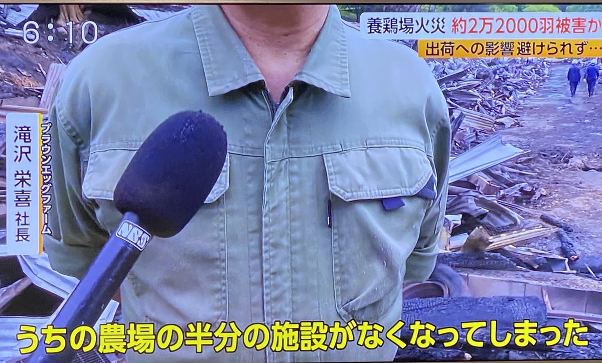 佐久のこい太郎 tweet media