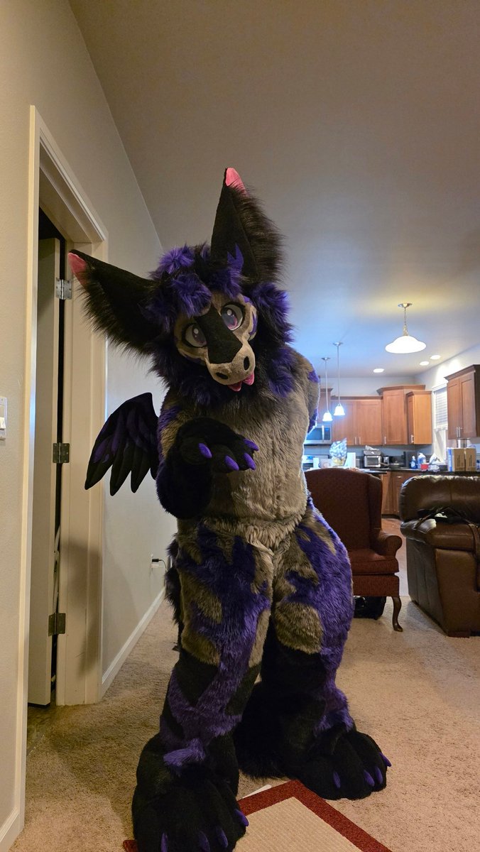 Holy_Guacamole 🔜 BLFC (maybe) tweet media