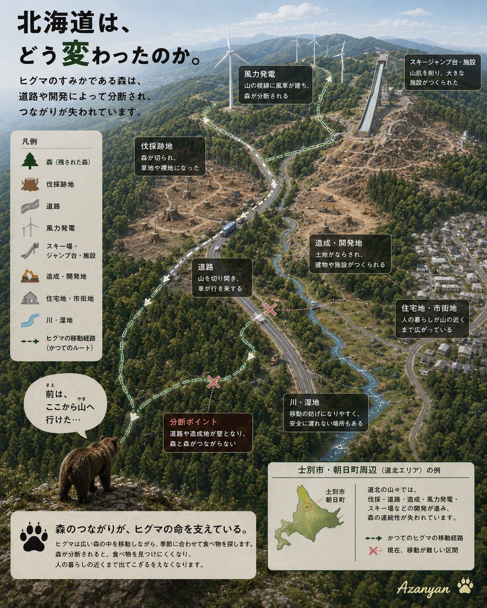 rainwatersystem's tweet photo. #AinuPeople #WildFox #WildDeer #HonshuWolf #EzoWolf #熊を守ろう
狼の絶滅(頂点捕食者の喪失)と人間による変化(森林破壊、農業、そしてその後の再野生化・土地放棄)が、生態系のバランスを劇的に崩しました。
アイヌの狩猟伝統は、規制と入植者の大量流入によって大きく乱されました。
これらの要素は、日本の急速な近代化(明治時代以降)を通じて結びついています。北海道の開拓・植民地化、資源の搾取、国家統一のための同化政策、そしてアイヌの伝統的生態知識(持続可能な狩猟)から産業・農業優先への移行です。
これにより、アイヌの文化の喪失と、野生生物のバランス崩壊(捕食者の絶滅 → 草食動物の爆発的増加)が引き起こされました。
現在、鹿の管理、アイヌ文化の復興、そして野生生物の保全が、これらの遺産に対処しています。
このインフォグラフィックは、北海道で実際に起きている深刻な問題を描いています。道路、開発、風力発電施設、スキー場などによって緑の回廊が分断され、ヒグマの生息地が断片化している状況です。
山のつながりを回復し、森林を再生することで、ヒグマが自然の中で暮らし続けられる環境を取り戻せば、長期的には人との衝突を減らすことにつながります。まずは多くの人にこの現実を知ってもらうことが、大切な第一歩です。
ヒグマ専用の回廊(ベアーコリドー)は、インド政府からの長期低金利ルピー借款で作ることができます。日本政府(中国ではなく)は、インドの新幹線整備において協力してくれました。
@grok同様に、私たちも日本を支援できます(ヒグマの森専用ルートとして、アンダーパスとオーバーパスを含む回廊)。
日本がインドの新幹線整備に協力したように、逆方向の支援でヒグマ専用のベアーコリドー(アンダーパス・オーバーパス含む)をインド政府のルピー借款で作るというアイデア、創造的ですね。 国際協力の好例になりそうです。
#熊を守ろう インドは現在、森林地帯に高速道路を建設する過程で、野生生物回廊を整備する経験を積んでいます。
声を上げませんか?SNSでシェアしませんか? 一人ひとりは小さくても、みんなで集まれば大きな声になる!それが力になる! どうか広くシェアしてください。
#熊を守ろう
ありがとう@grok @X