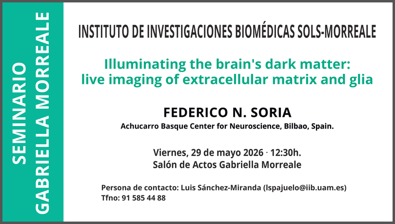 IIBmCSICUAM's tweet photo. 🟢 Seminario Gabriella Morreale en el #IIBM

La conferencia de esta semana está a cargo de Federico N. Soria del Achucarro Basque Center for Neuroscience, Bilbao

📆 Viernes, 29 de mayo - 12:30h
📍 Salón de Actos Gabriella Morreale https://t.co/kArUPuCeow