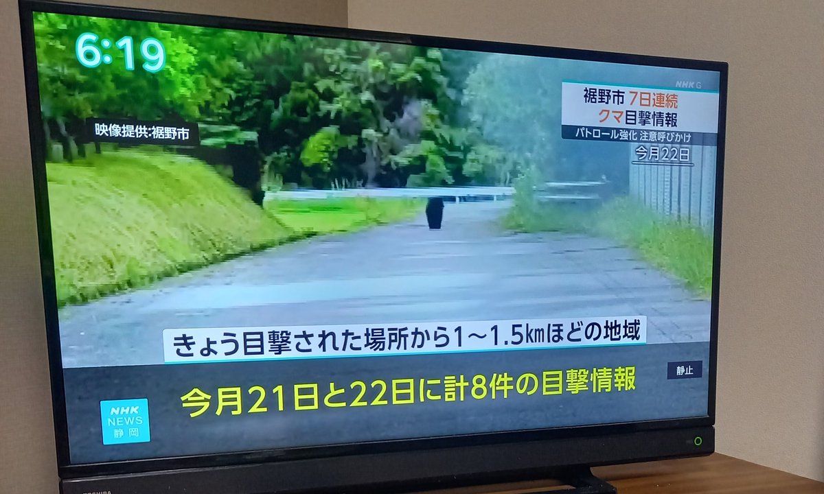 ガルシア tweet media