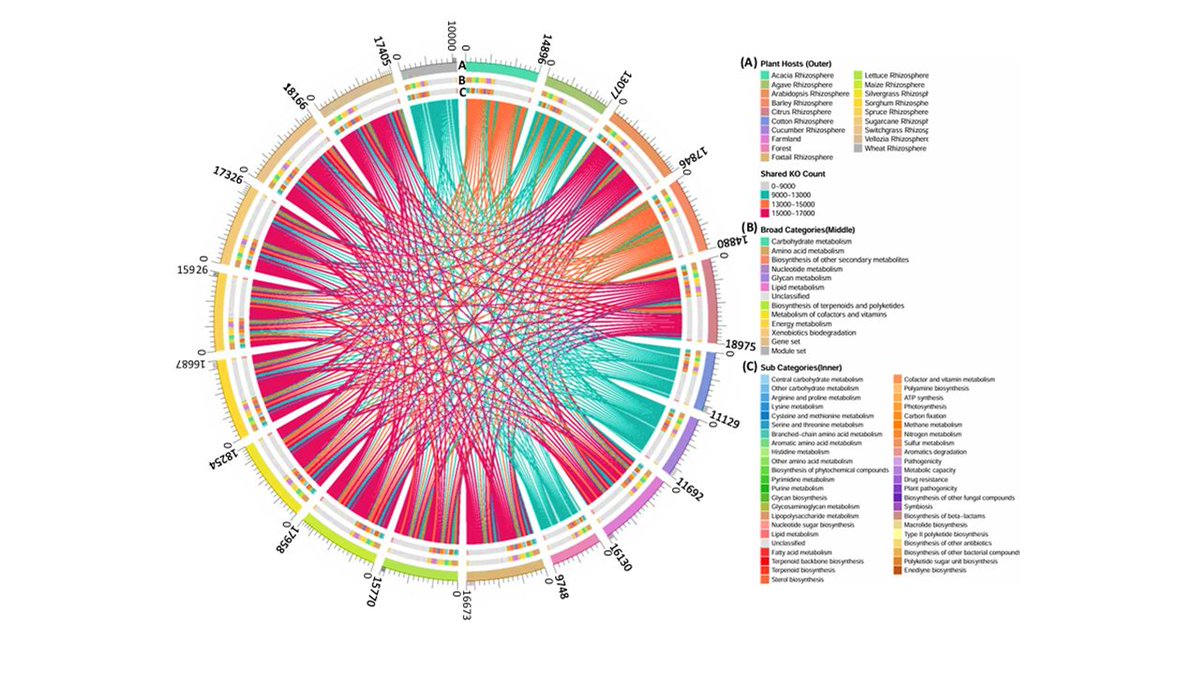 MantriLab's tweet photo. We are delighted to celebrate the successful completion of a Master's dissertation by Manvinder Jaswal from our lab. 🎓
Title: Designing an integrative framework for functional annotation and combinatorial ecological inference in microbiome and metagenome studies https://t.co/NUwQi5ldo5