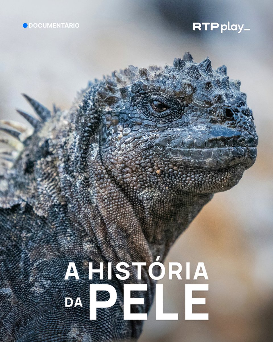 playrtp's tweet photo. Descubra os segredos da pele, o órgão mais fascinante do corpo, capaz de proteger, sentir e transformar-se constantemente no mundo animal e humano.

▶ Vê na RTP Play. https://t.co/dorca1VAGl