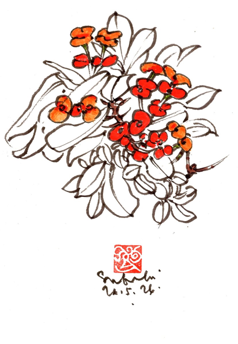 atarbus's tweet photo. Crown of thorns (কাঁটা মুকুট) from my window cill today 🍃

Pen and ink, alcohol based markers on paper https://t.co/qMKQVOLD5f