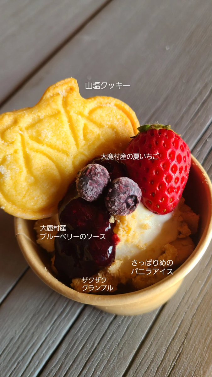 hakko_ooshika's tweet photo. こんな感���の持ってく予定です～✌️ https://t.co/lwRcYyRjXd