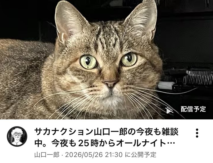 🐟SAKANA2026🐟 tweet media