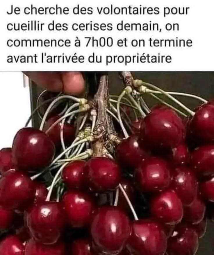Rachèle tweet media