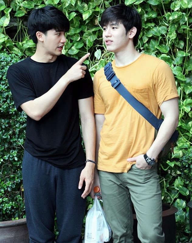 ปะล็อกป๊อกแป๊ก มาทำไม tweet media