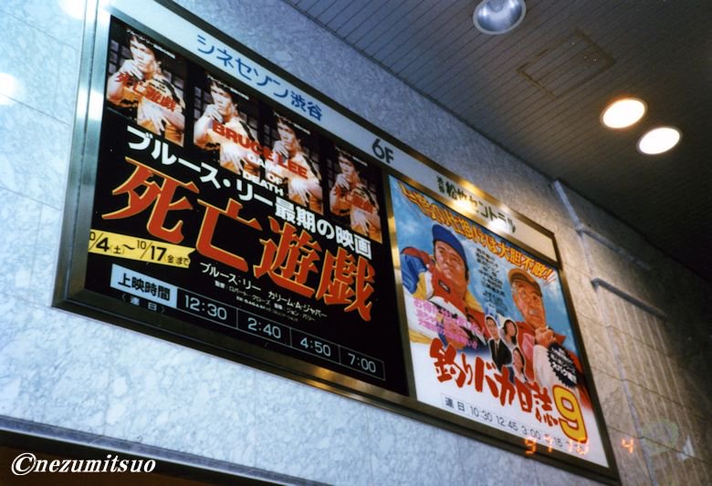 ネズミツオ tweet media