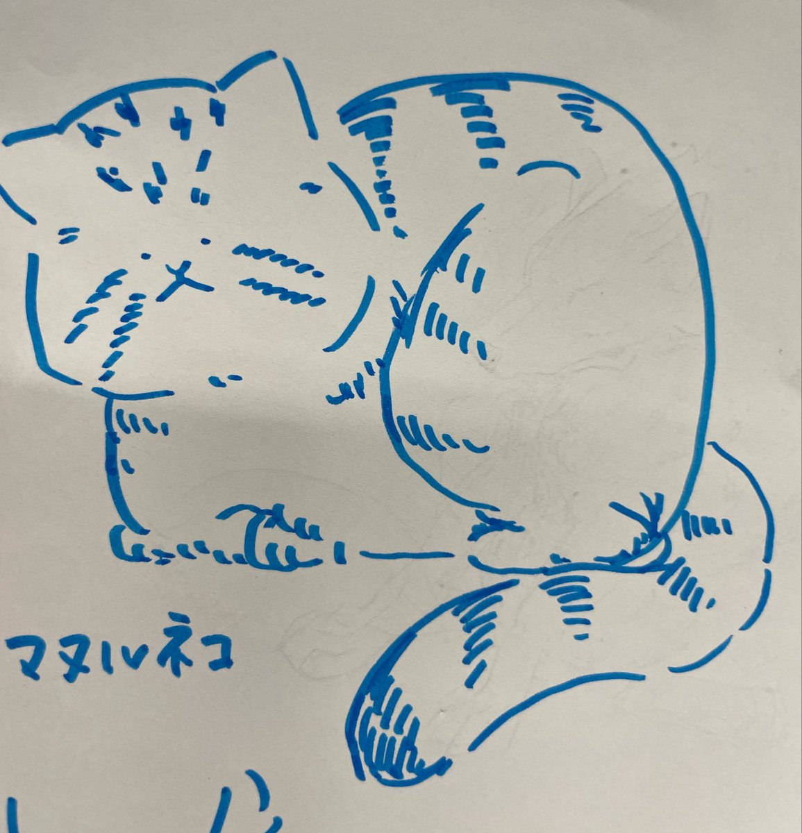 おおかみさん デザフェス63両日 5/23.24参戦！ tweet media