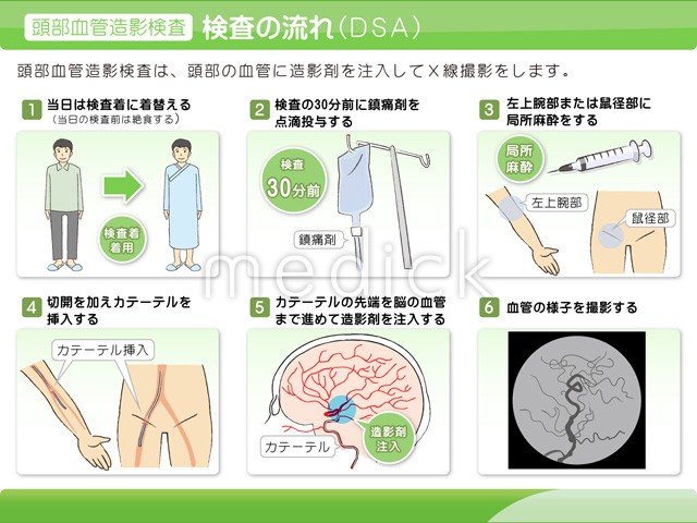 モンハンお姉さん(Sasha) tweet media