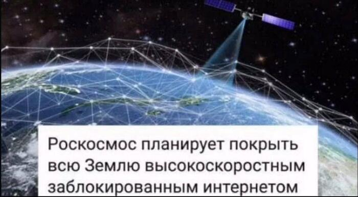 зефирка 🐾 ✨ tweet media