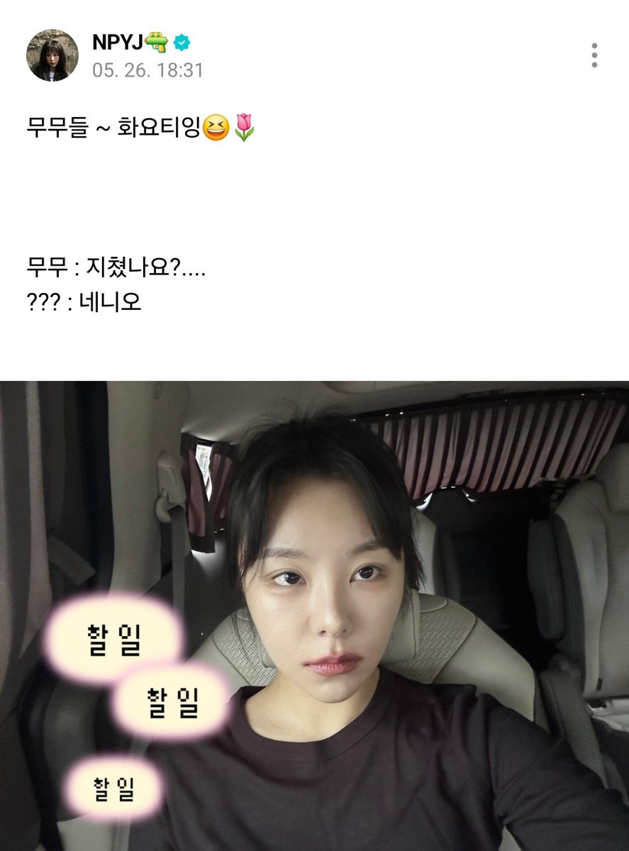 🦋🐶오예wi🐱🦊 tweet media