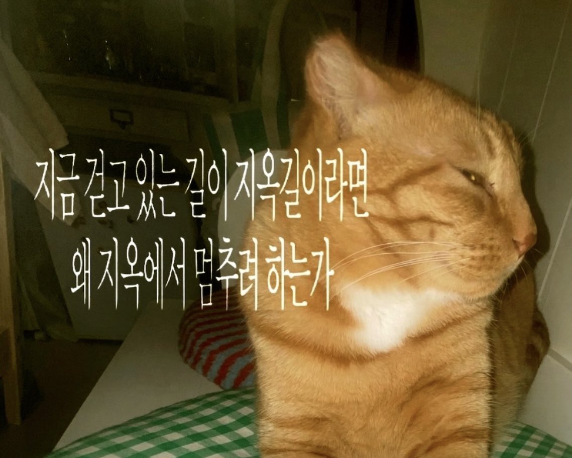 째무 tweet media