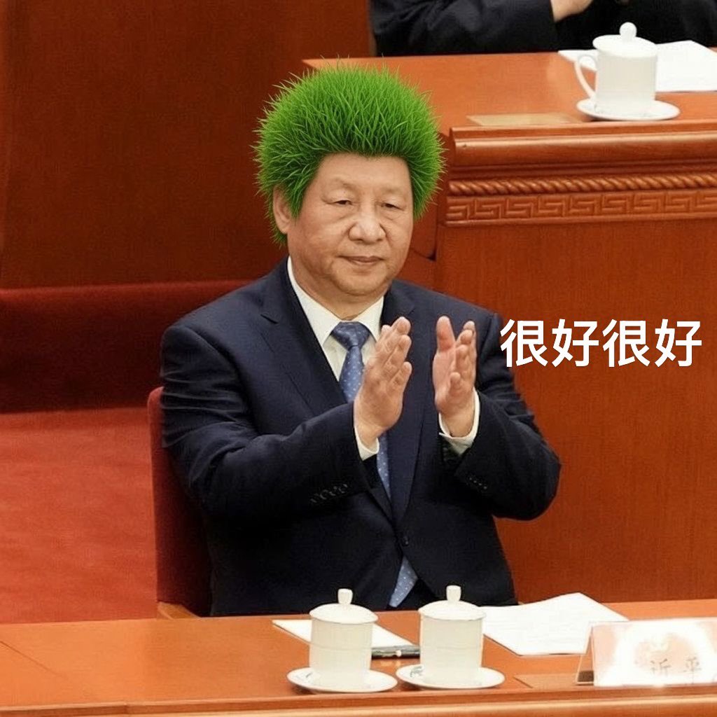 梁家河扛麦郎习大大 tweet media