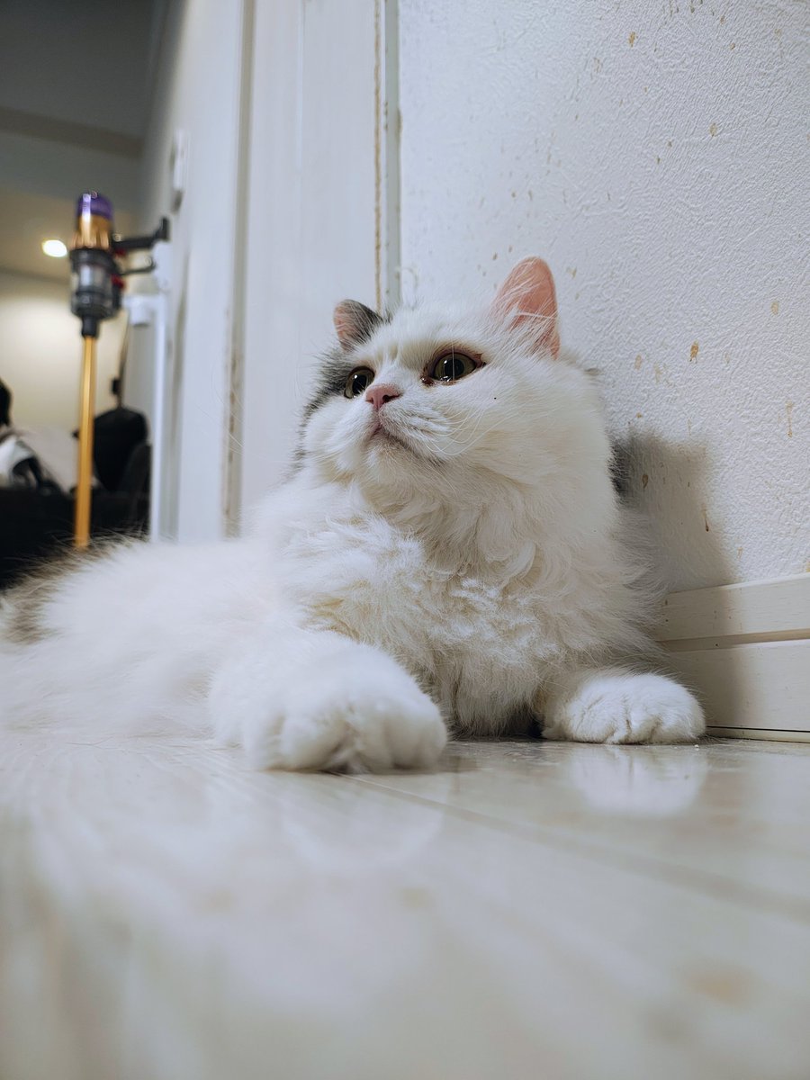 とおちゃんが仕事でめちゃくちゃ機嫌悪いのに宅配の受け取りあるから