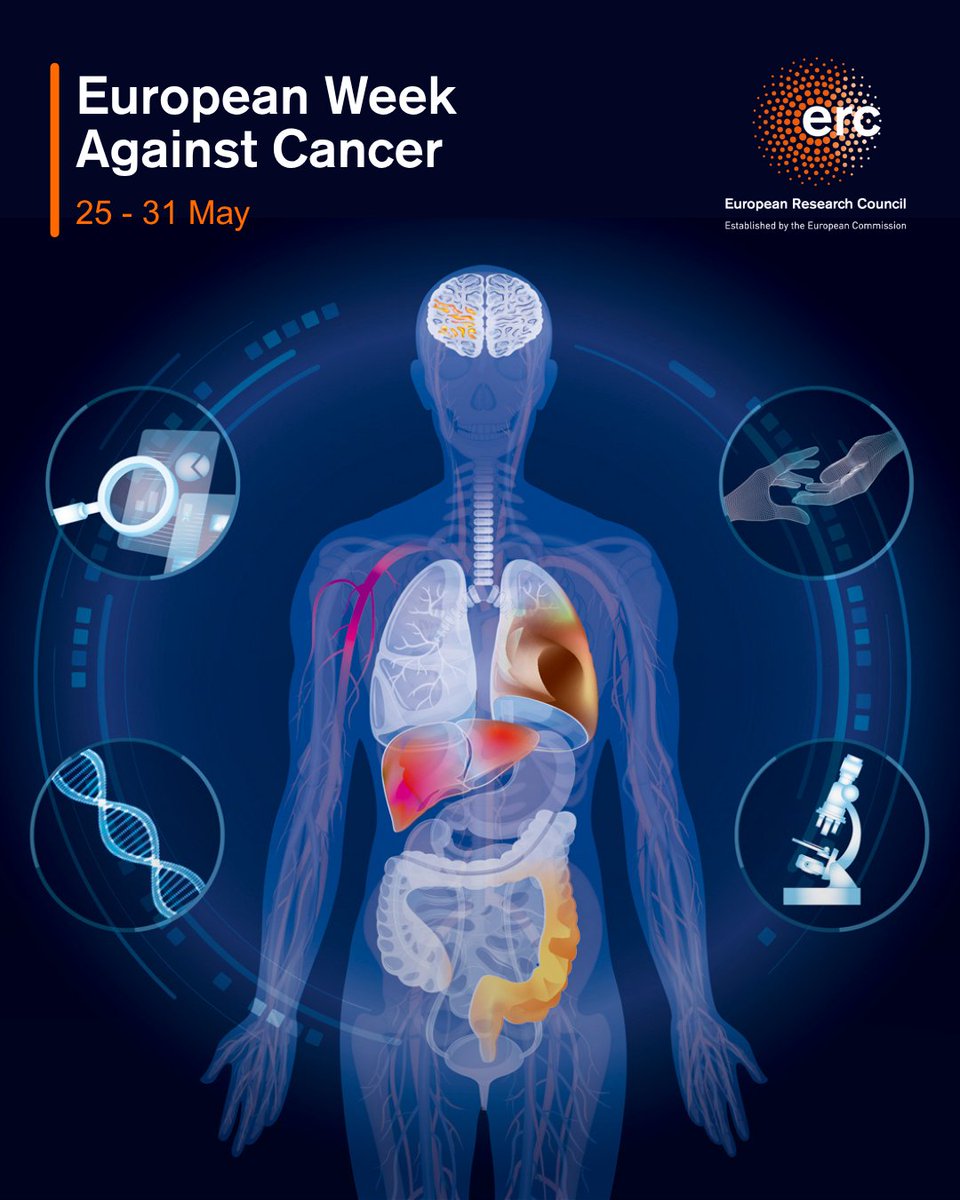 European Research Council (ERC) tweet media