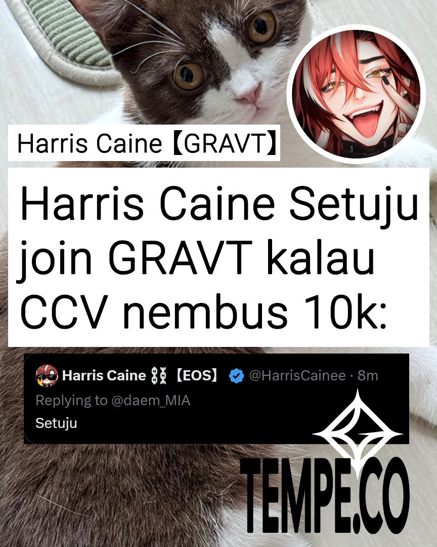 Akemi 猫町アケミ 🐟【GRAVT】【AKA Virtual】 tweet media