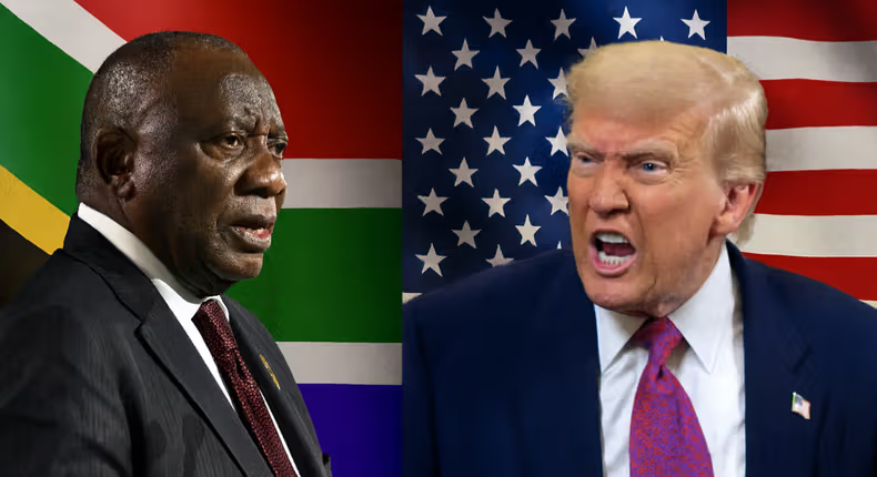 Business Insider Africa tweet media