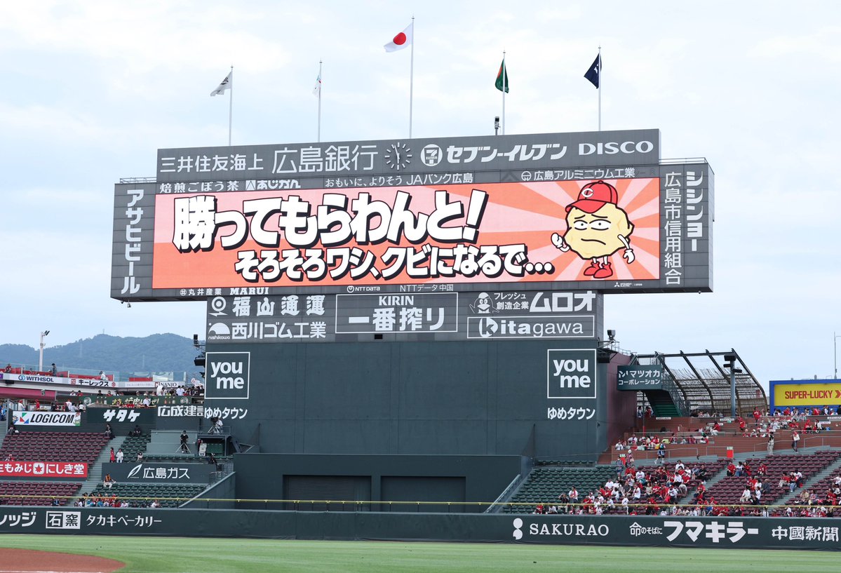 【鯉ほーち】スポーツ報知 Carp担当 tweet media