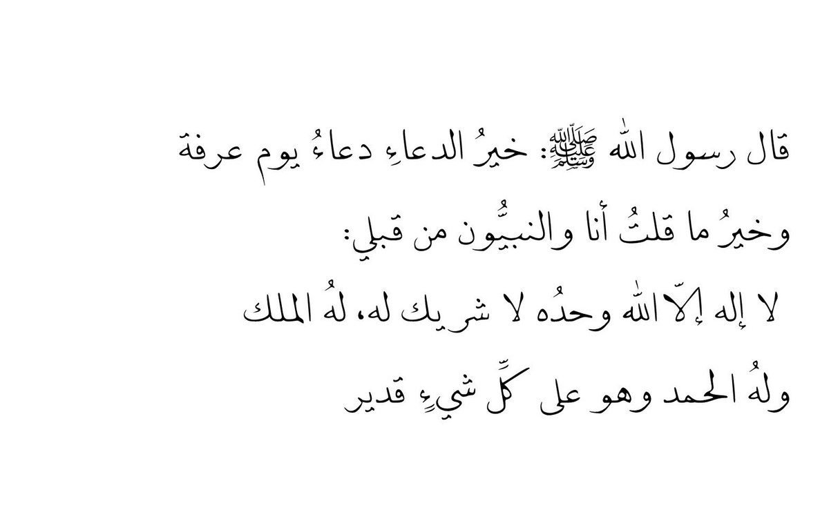 Nαѕєя tweet media