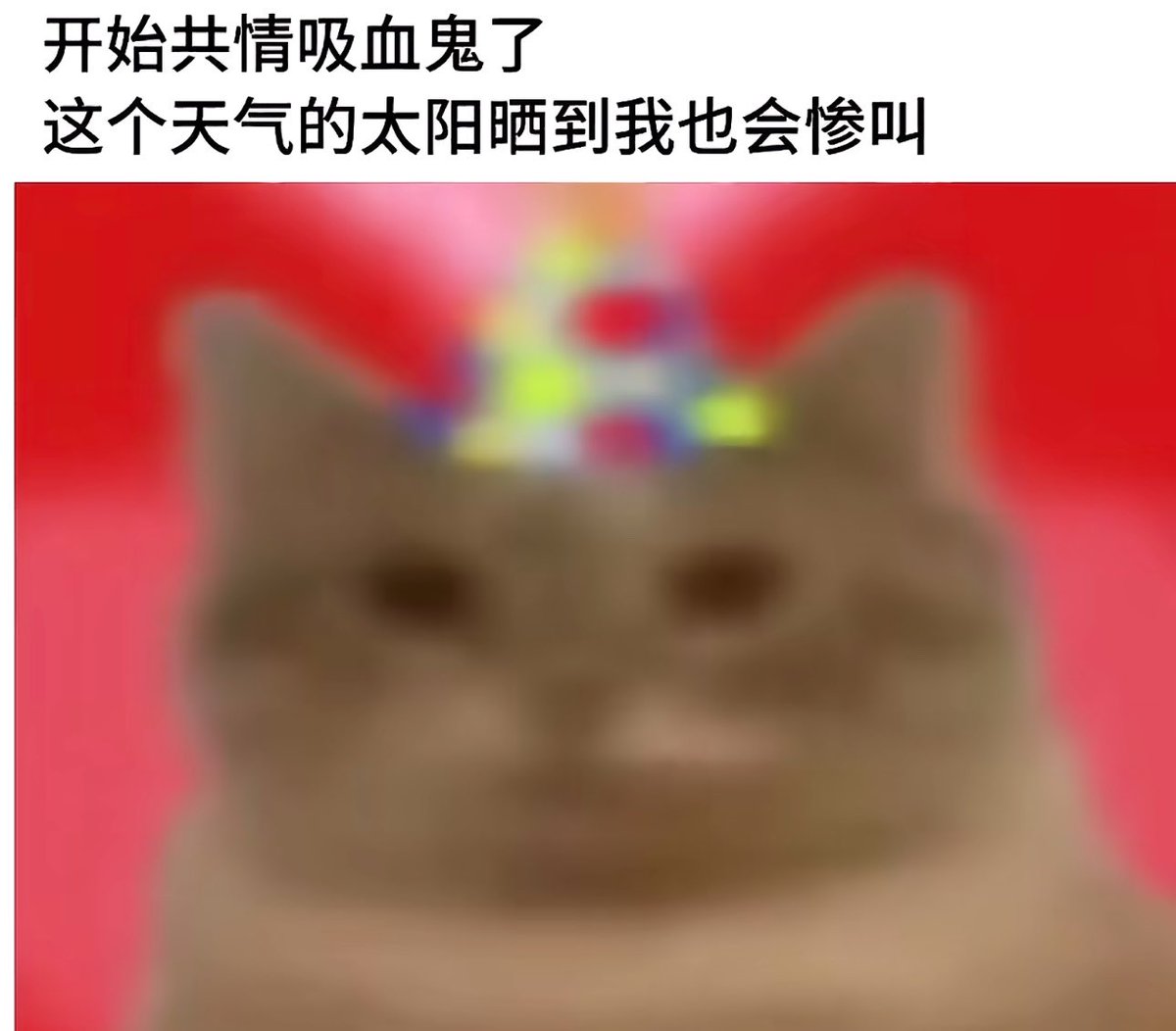 cyyyyxu's tweet photo. https://t.co/KUl91JCVUZ