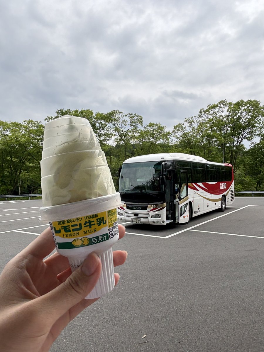 ピンバッジ　京王バス　再生産予定無し　ラスト一個 ピンバッジ 京王バス 再生産予定無し ラスト一個 【公式通販】