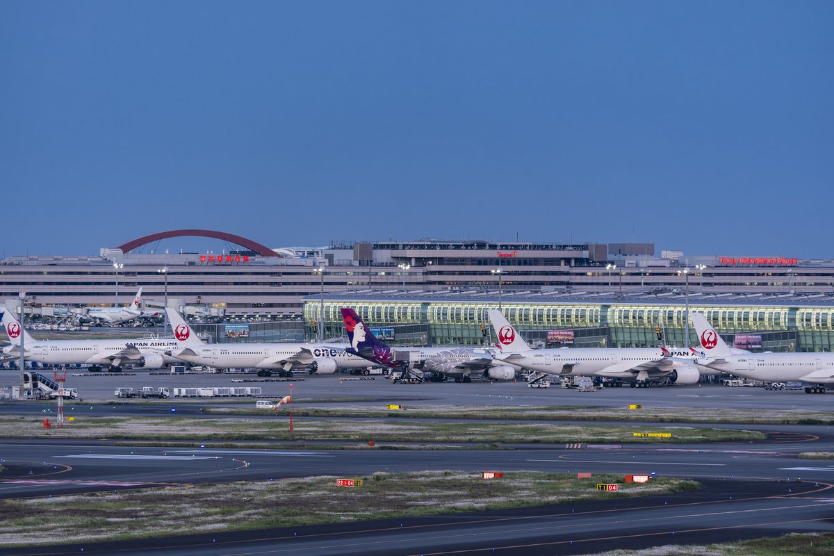 747mickey's tweet photo. ★JAL x JAL x HAL x JAL x JAL ✈️
✨国際線でココまでJALが並ぶとは✨ https://t.co/GoKzMjzPSl