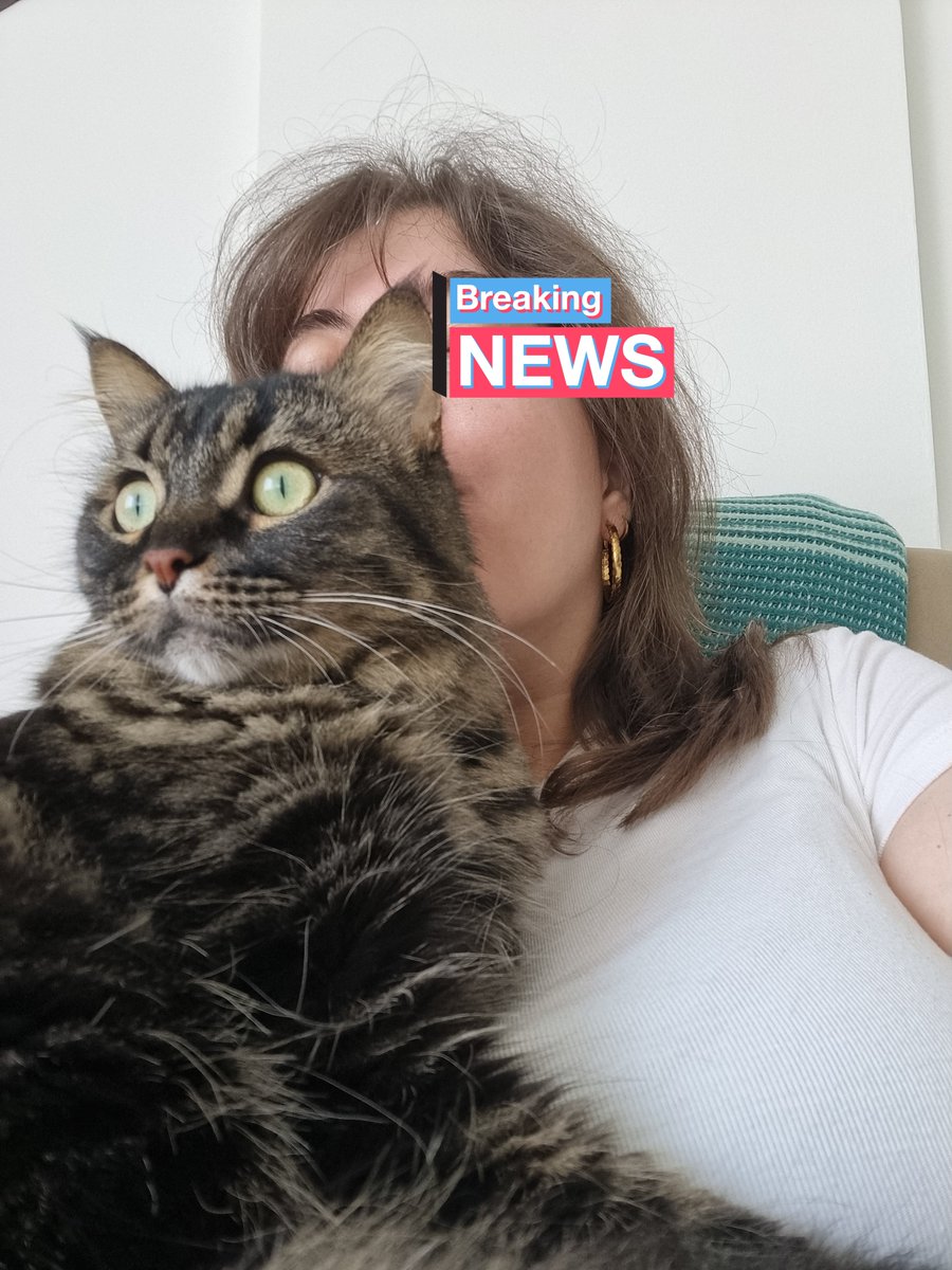 uniqhorn 🐾 Turşu usta tweet media