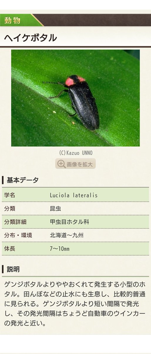 yokin1973's tweet photo. 家の壁にいた、もうそんな季節〜 https://t.co/BUkw4ZJXlA