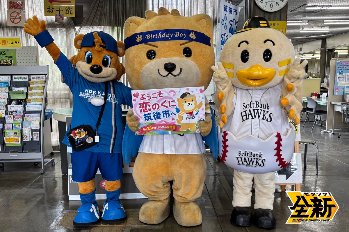 HAWKS_chikugo's tweet photo. 試合前にC・B(カビー)と一緒に筑後市散策🐣🐻
筑後市役所に行ってきたよー♪
今日は、はね丸のお誕生日🎂

#sbhawks #全新 #タマスタ筑後 #ひな丸 #カビー https://t.co/Epst2PdSJZ