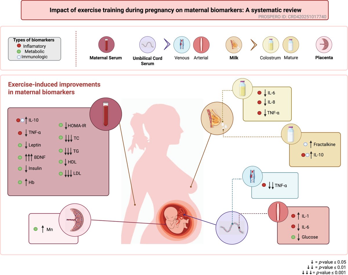 AJOG_thegray's tweet photo. Impact of exercise training during pregnancy on maternal biomarkers: a systematic review https://t.co/NaKkfdIRso https://t.co/cF4FN8L64W
