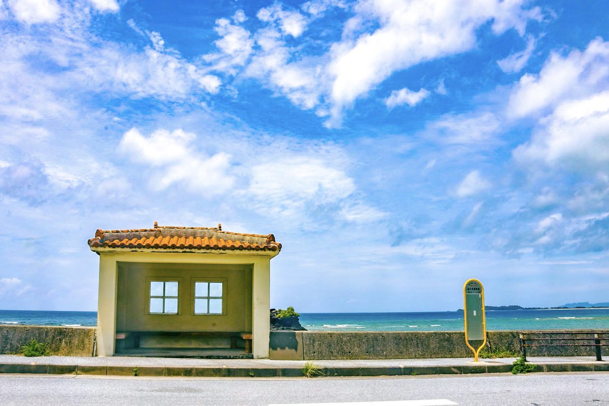 shima | 旅と写真が好き☺︎ tweet media