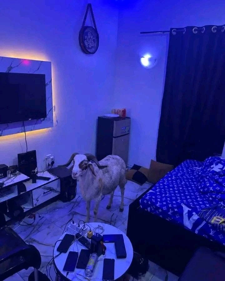 DonSwiss8's tweet photo. If e reach your turn tie am for backyard make dem go steal am 🙄 Nah here I go put am till tomorrow https://t.co/C60ubR99mQ