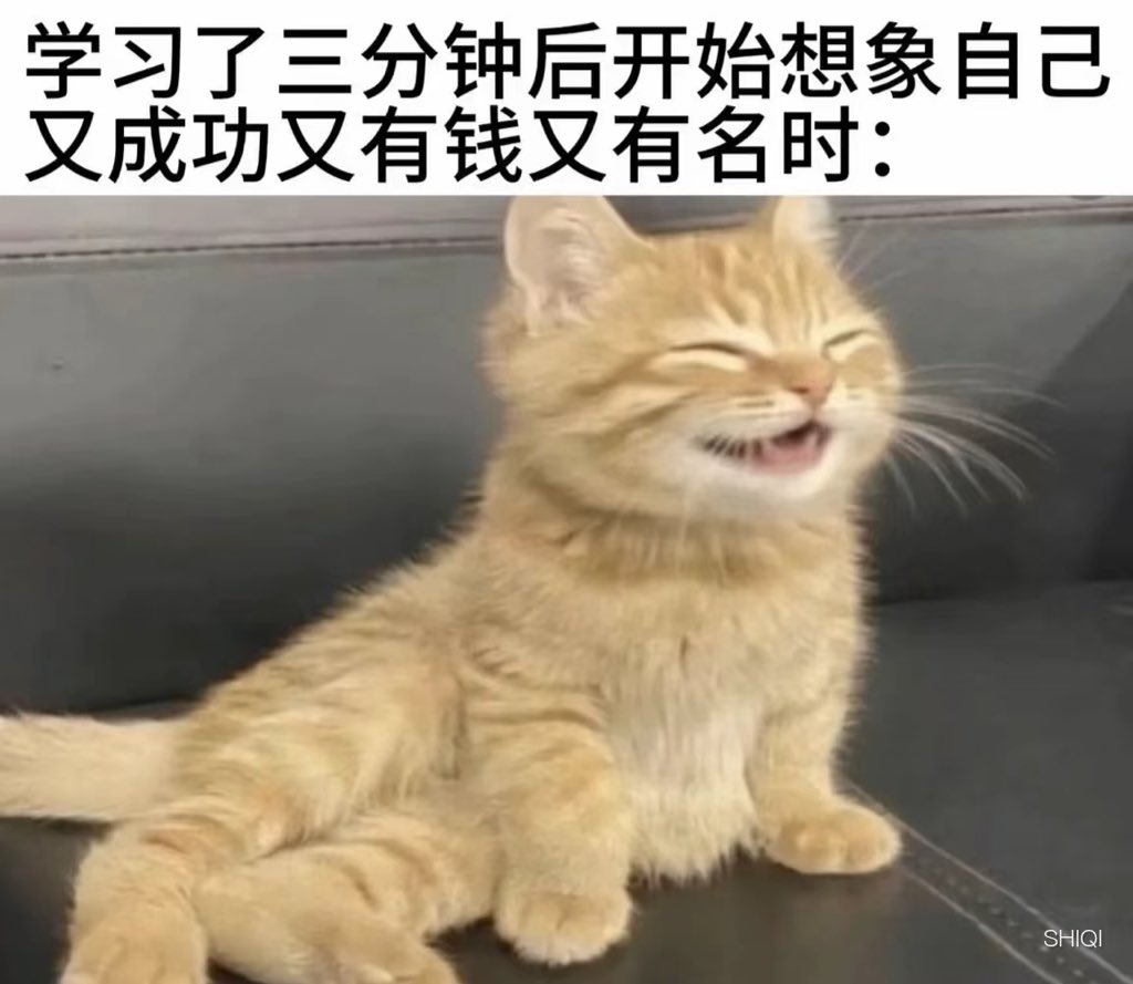 无敌仓鼠大王 tweet media