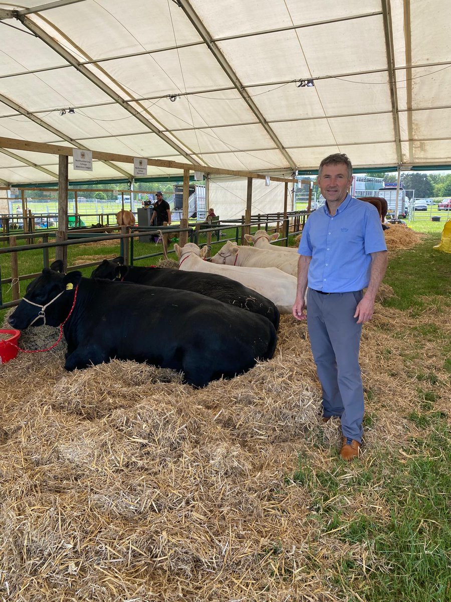 FarmMatters's tweet photo. Hope everyone has been staying cool over the warm bank holiday weekend.
It was perfect weather for the Northumberland County Show on Saturday, where we were processing the cattle movements.

#NorthumberlandCountyShow #FarmMatters https://t.co/IQsGiHpw1K