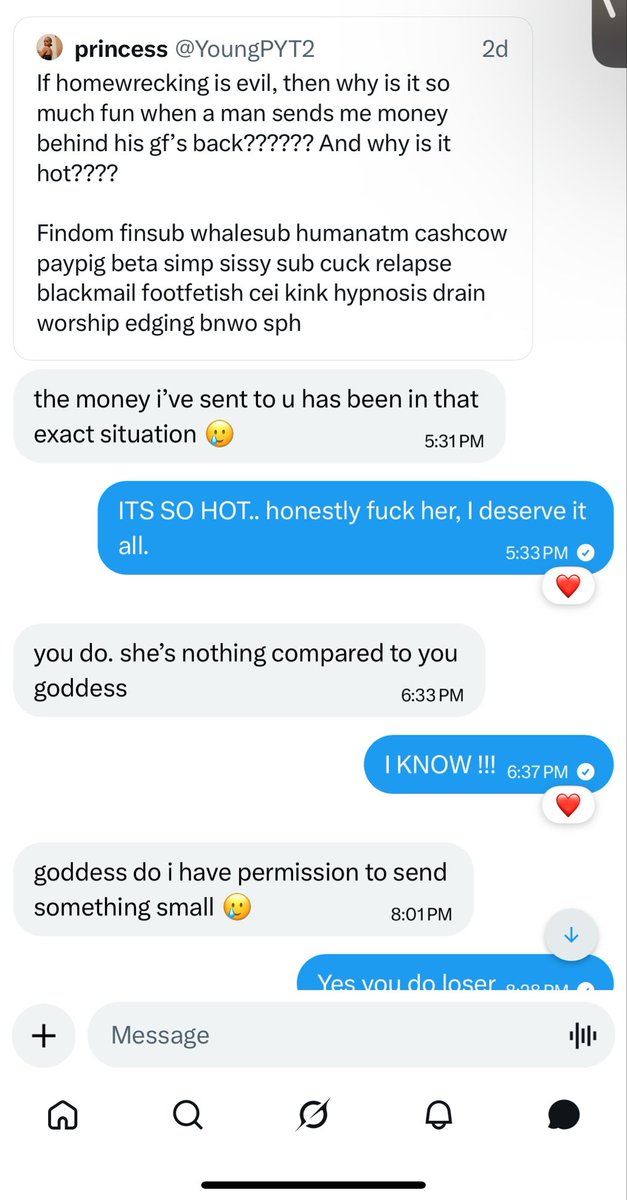princess tweet media
