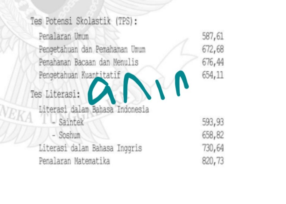 anin kayanya tweet media