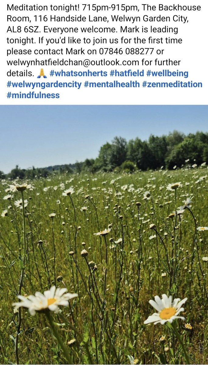 HatfieldChan's tweet photo. Meditation tonight! 715pm-915pm, The Backhouse Room, 116 Handside Lane, Welwyn Garden City, AL8 6SZ. Everyone welcome. If you'd like to join us for the first time please contact Mark on 07846 088277 or welwynhatfieldchan@outlook.com for further details. 🙏 https://t.co/ruI56ENi40