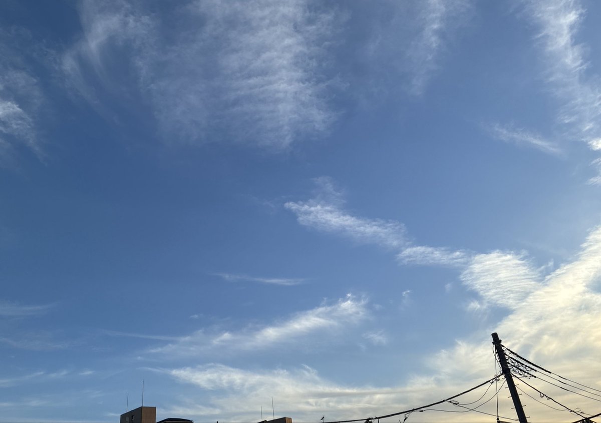 雪乃🌙.* tweet media