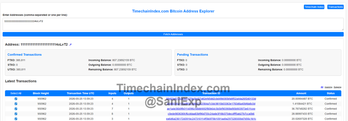 Sani | TimechainIndex.com tweet media