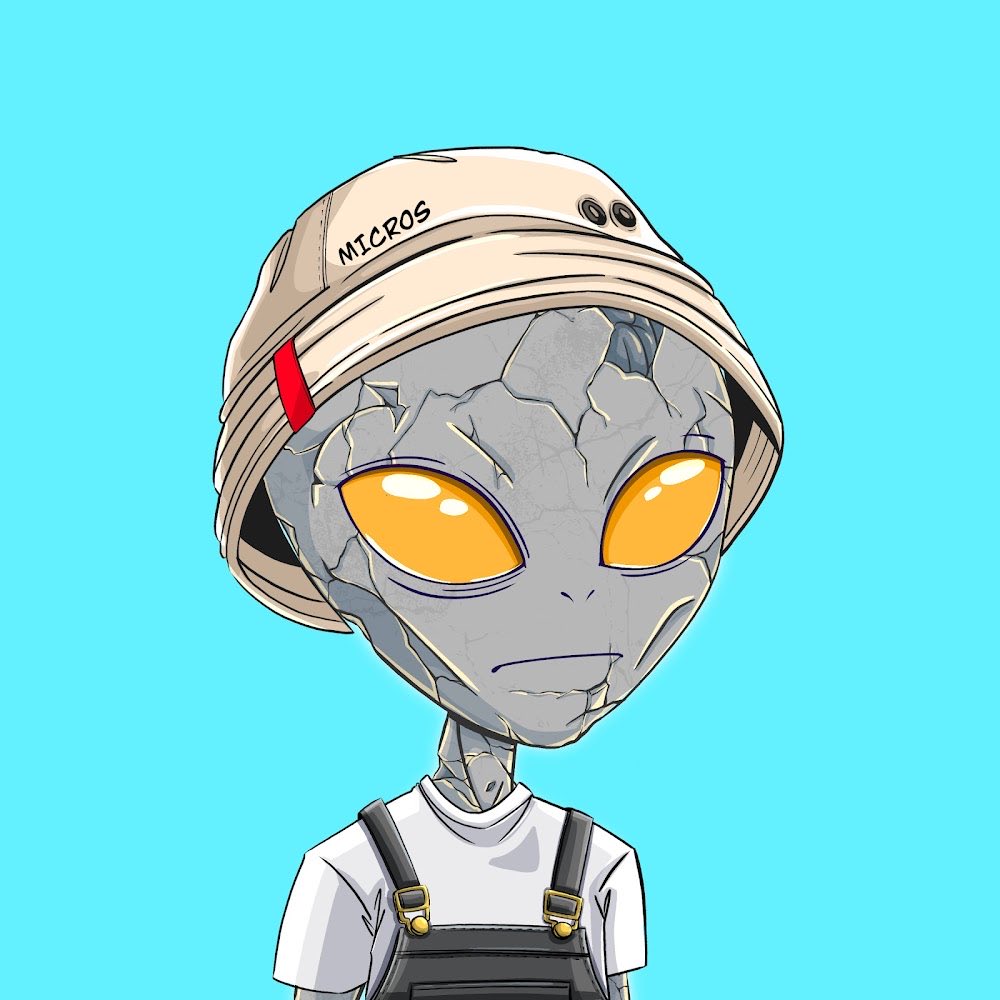 Flipfury tweet media