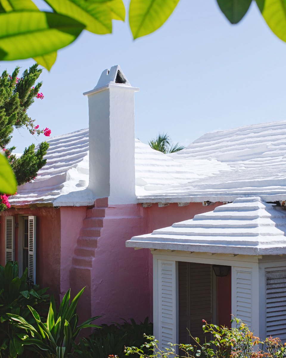 Bermuda's tweet photo. Cambridge Beaches Resort &amp; Spa, Bermuda 💗 

Discover this dreamy resort: https://t.co/LHzSWRuQCl

📸 IG: mpeacockmedia, cambridgebeaches | #GoToBermuda https://t.co/pUBk3PickU