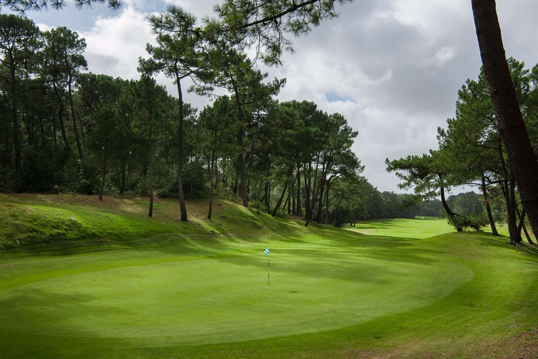 yourgolftravel's tweet photo. Play the 'Wentworth' of Northern France... £309pp for Le Shuttle, 2 Nights, 2 Rounds in Northern France 😮🇫🇷

✅ Ideal for a group golf holiday
✅ Golf at Le Touquet Golf and Golf D’Hardelot

https://t.co/mMOcAKOXwA https://t.co/rK6TlZHota