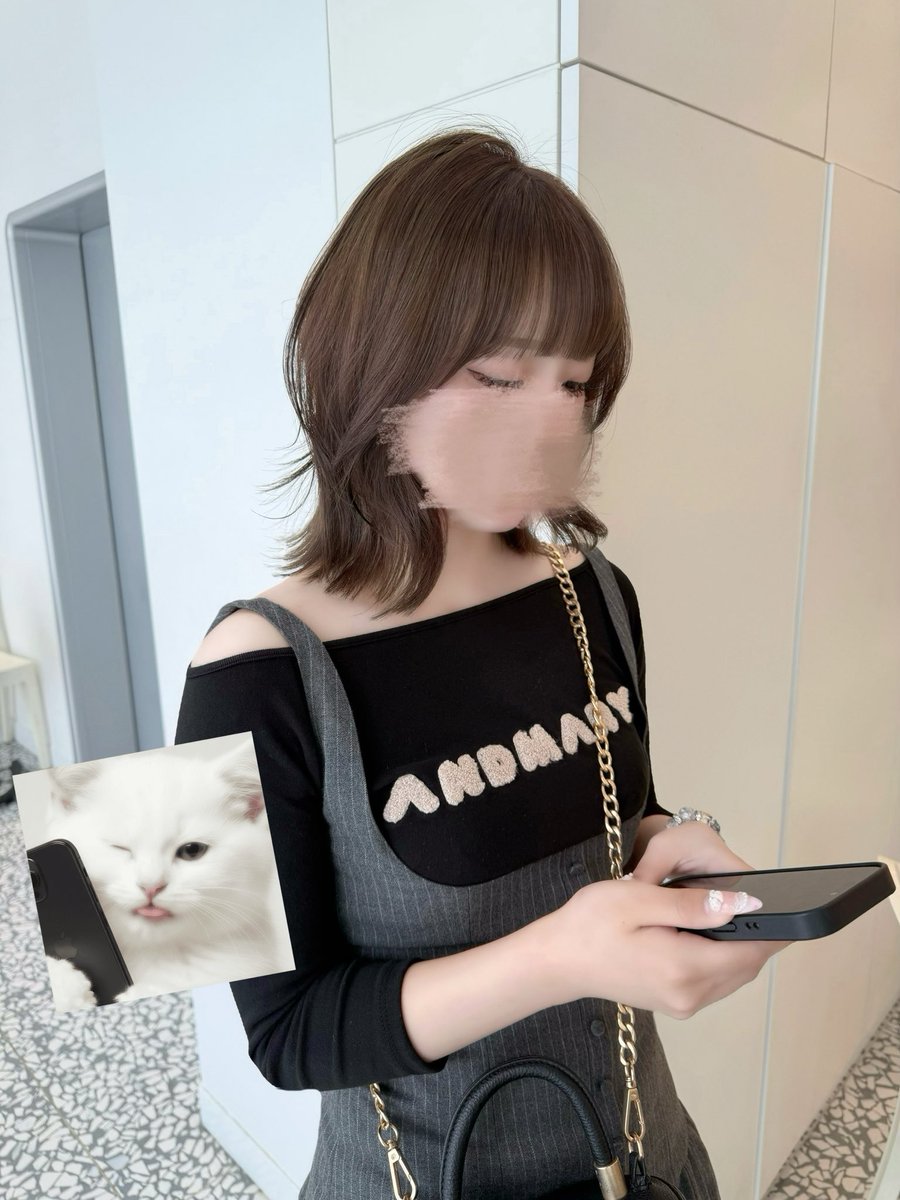 PUCHANNEL_'s tweet photo. 最近🐈⸒⸒⸒⸒♡ https://t.co/tPuE4X9M0v