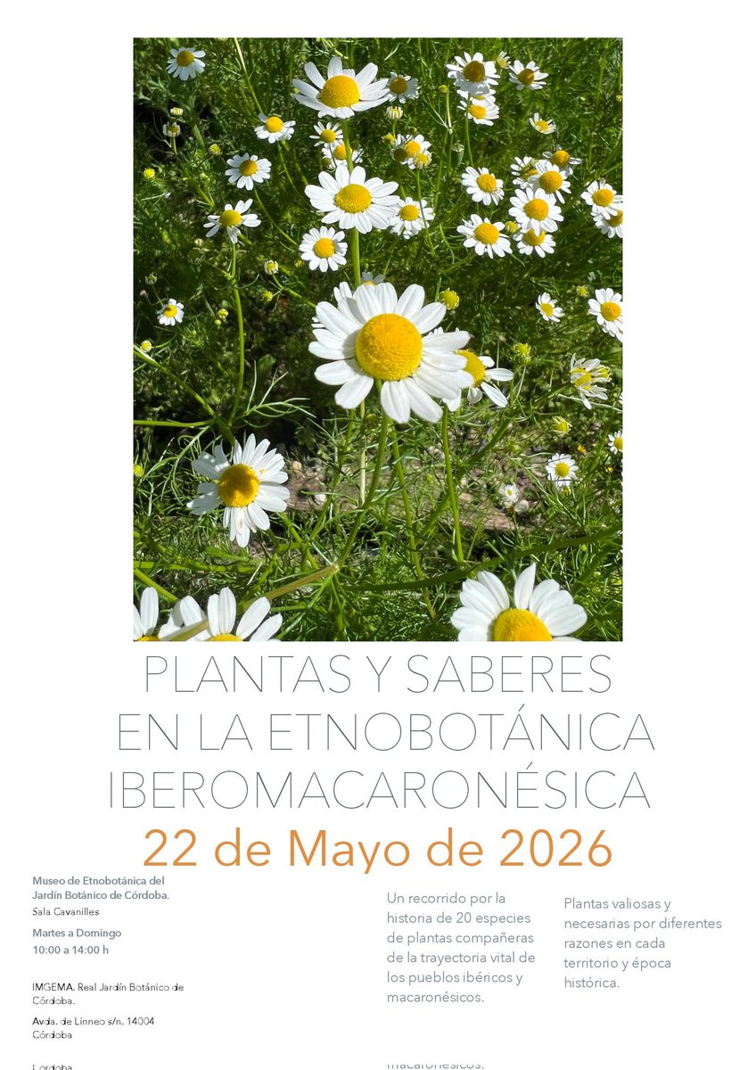 BOTANICORD's tweet photo. Exposición "Plantas y saberes en la etnobotánica iberomacaronésica": recorrido por la historia de 20 especies de plantas que han acompañado a los pueblos a lo largo de su vida.  De martes a domingo de 10 a 14 horas. 
#museos #etnobotánica https://t.co/kQe6pXsReT