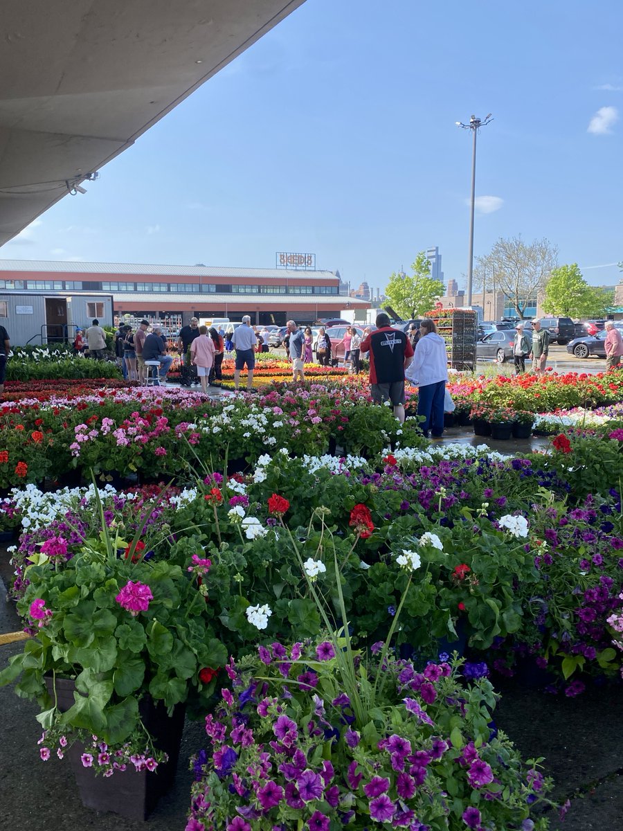 EasternMarket's tweet photo. Today is our last Flower Tuesday Market! Join us today from 9 am - 3 pm, in Sheds 5 + 6. 🌼

Find...
Indoor + Outdoor Plants
Garden decor
Trees
Bushes + Shrubs
Herbs and more!

https://t.co/JM2bCkQa0w https://t.co/0jKX9I3wHu
